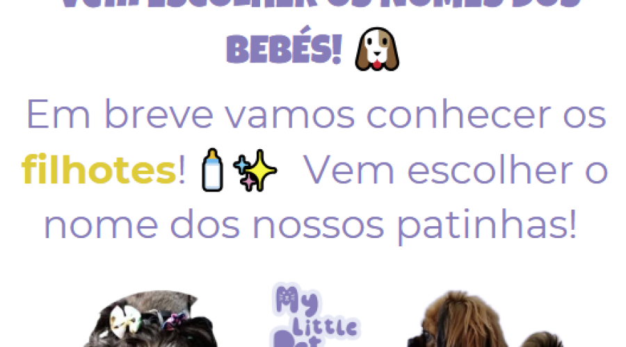 Vem Escolher os Nomes dos Bebés!