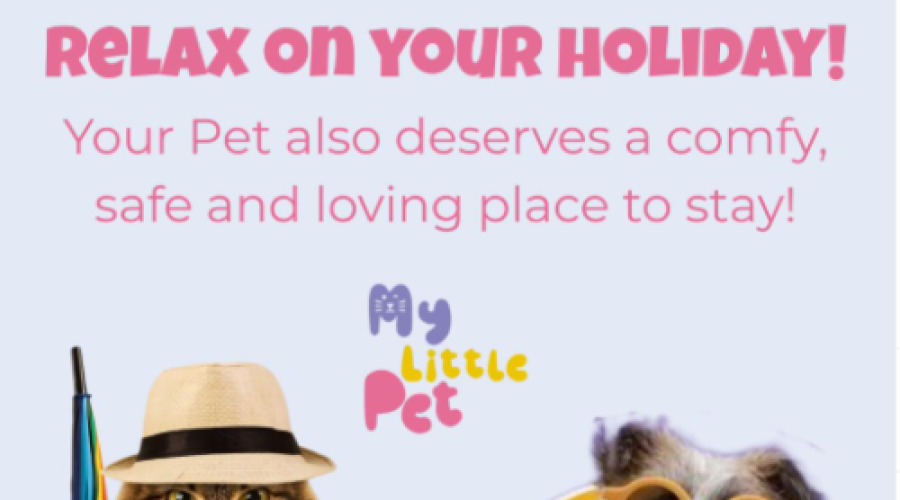Book Now and Relax on your Holidays!