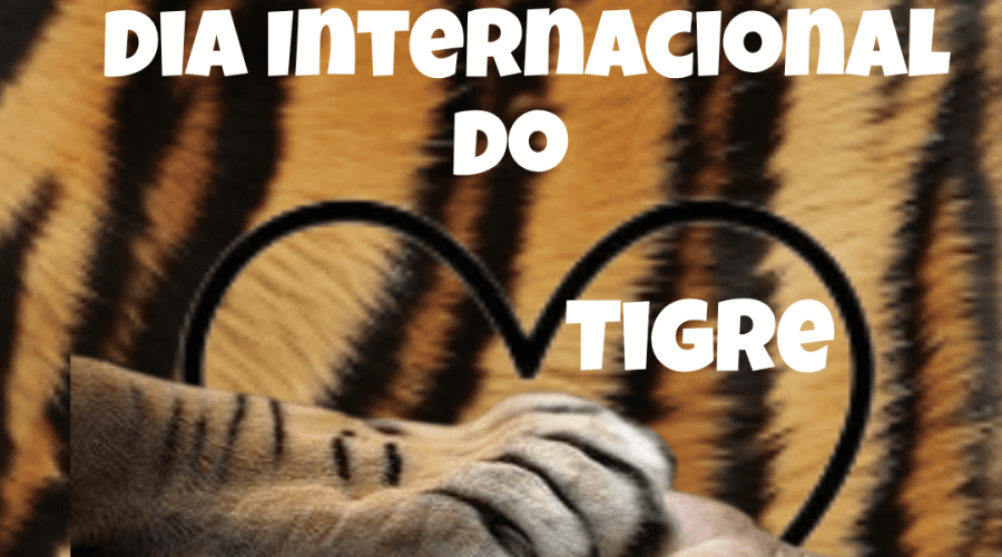 Feliz dia do Tigre!