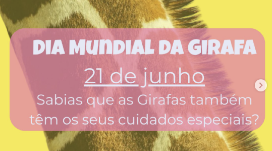 Dia Mundial da Girafa!
