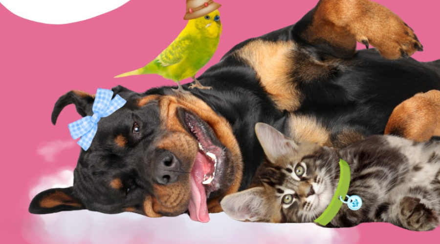 Feliz dia do Amigo!