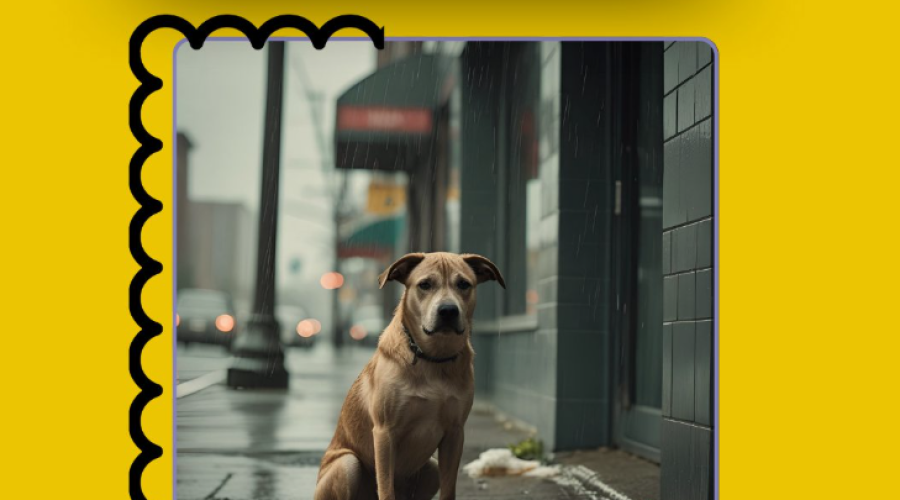 Dia Internacional do Animal Abandonado