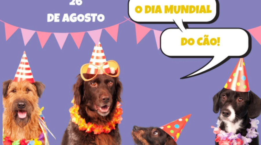 Dia Mundial do Cão