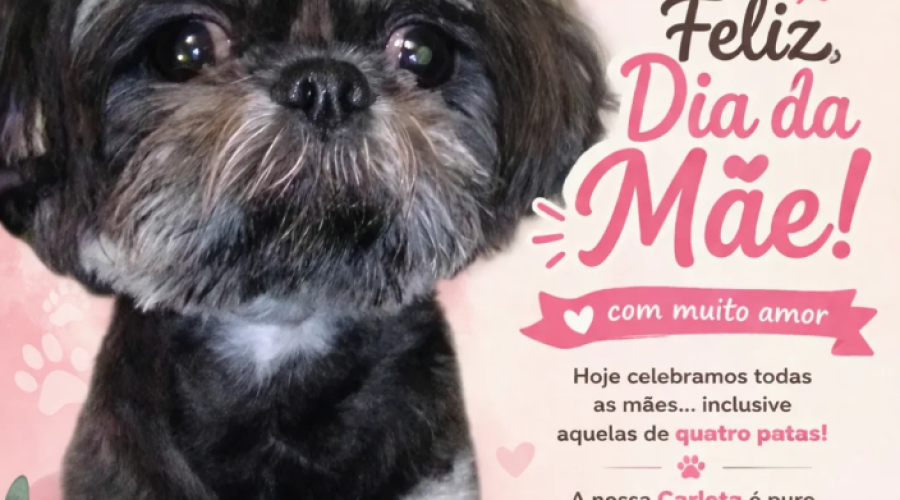 Feliz Dia da Mãe Carlota!